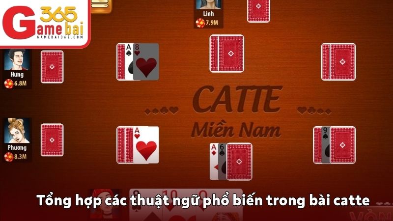 Tổng hợp các thuật ngữ phổ biến trong bài catte