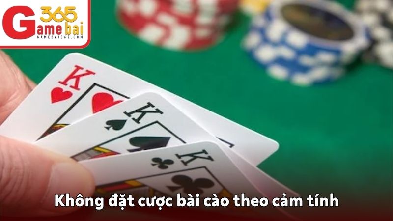 Không nên đặt cược theo cảm tính mà cần có chiến thuật cụ thể