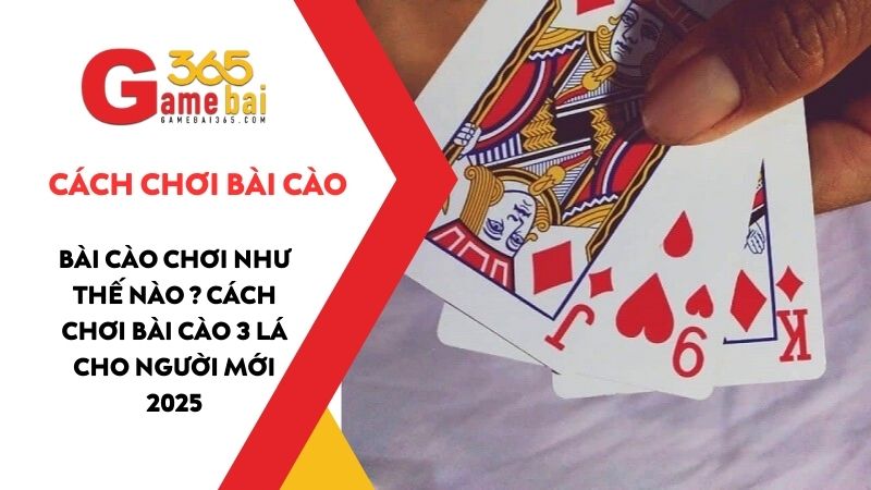 Bài Cào chơi như thế nào ? Cách chơi bài Cào 3 lá cho người mới 2025