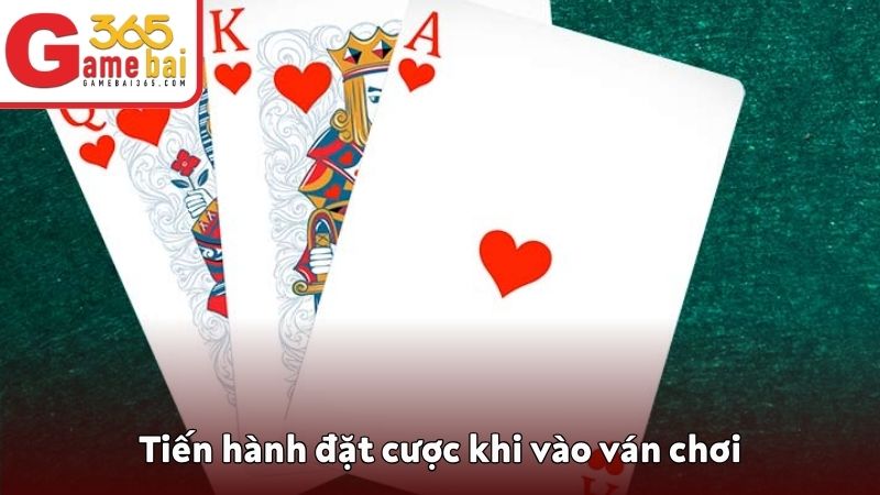 Tiến hành đặt cược khi vào ván chơi