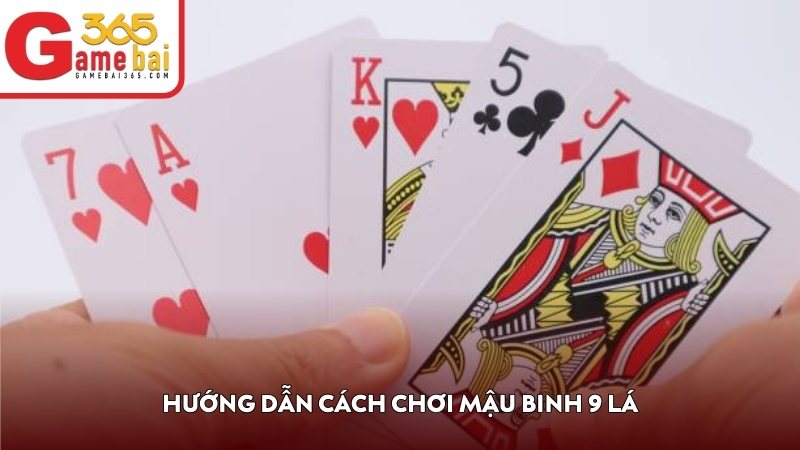 Hướng dẫn cách chơi Mậu Binh 9 lá