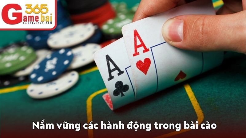 Nắm vững các hành động trong bài cào