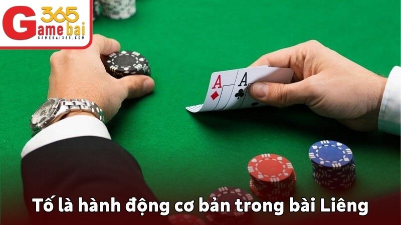 Tố là hành động cơ bản trong bài Liêng
