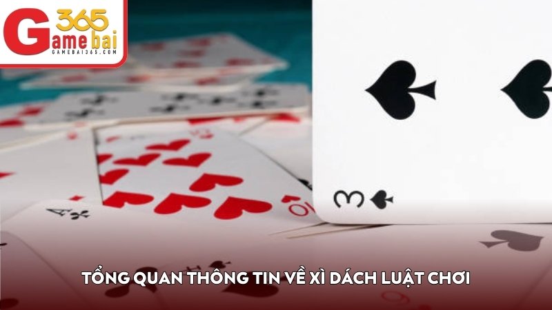 Tổng quan thông tin về Xì Dách luật chơi