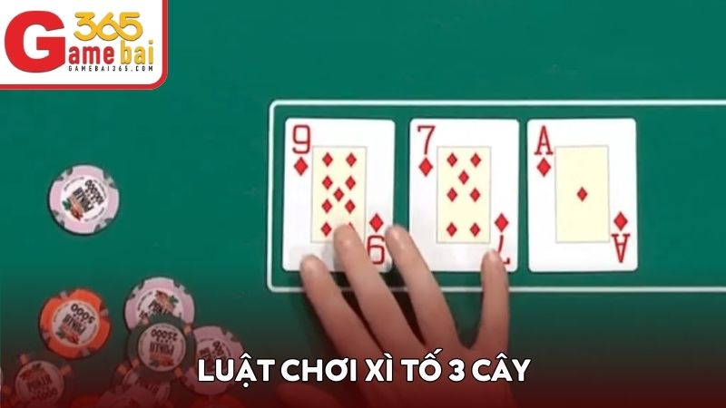Luật chơi xì tố 3 cây chi tiết cho newbie
