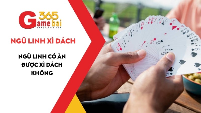 Ngũ Linh Có Ăn Được Xì Dách Không - Giải Thích Chi Tiết Cho Người Mới