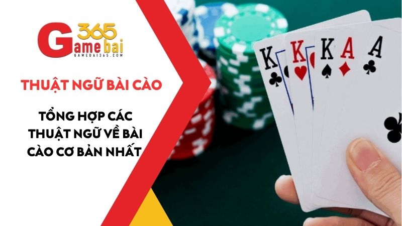 Các thuật ngữ Bài Cào - Tổng hợp và giải thích chi tiết dễ hiểu nhất