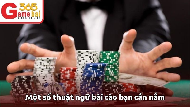 Những thuật ngữ bài cào quan trọng